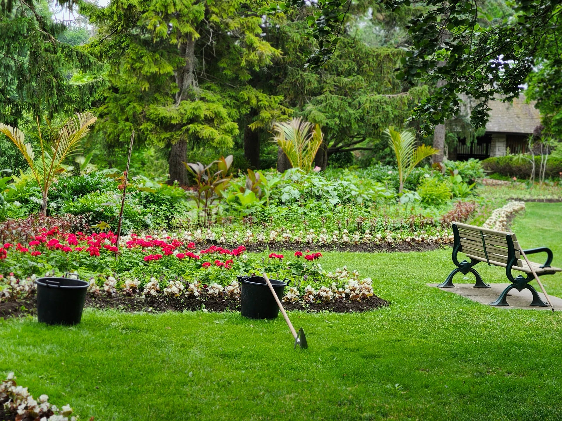 A lush garden scene with green grass, flower beds filled with pink and white blossoms, tall trees, a wooden bench on the right, and two black plant pots on the lawn.