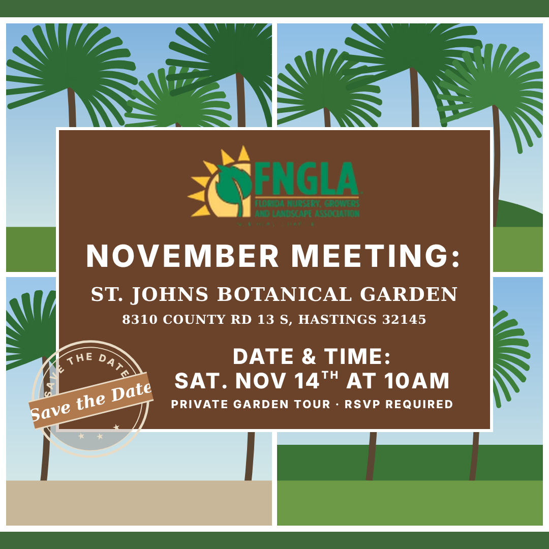 November Chapter Meeting 2026